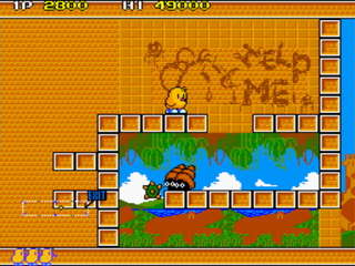 New Zealand Story, The